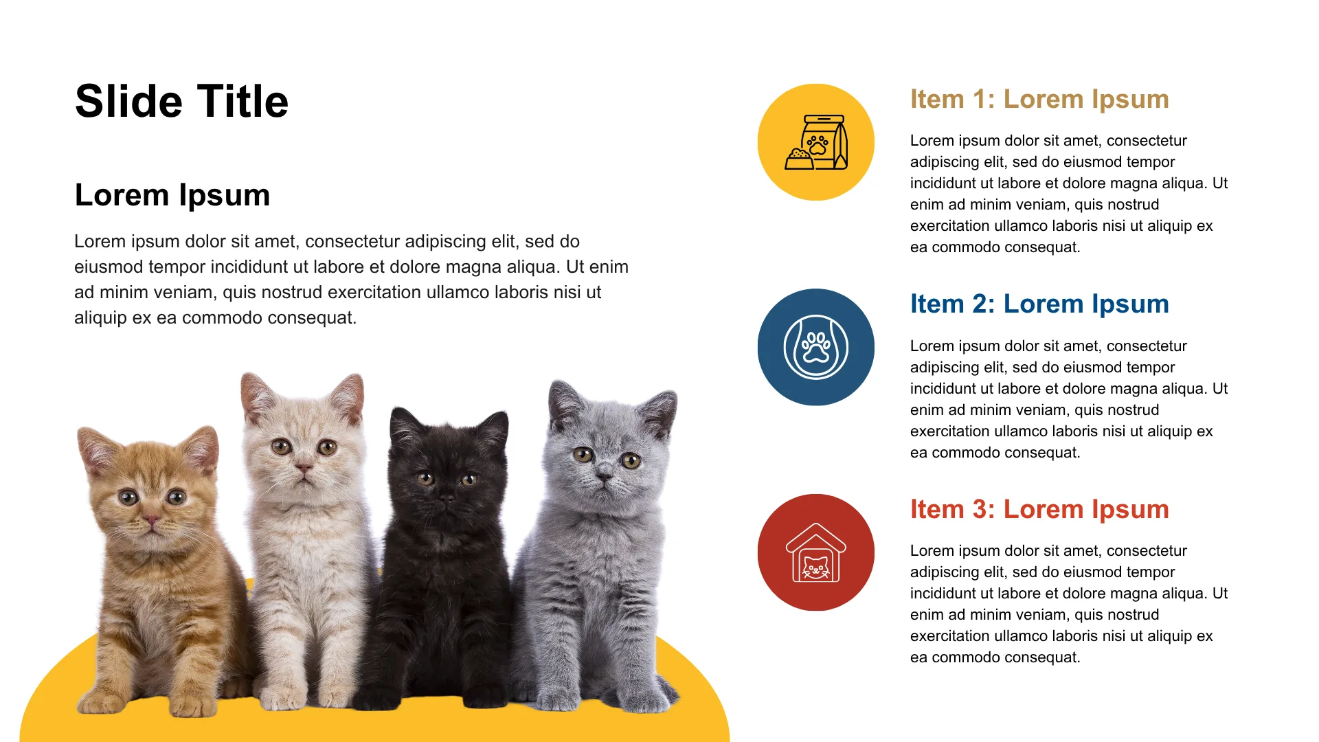 PET CARE & ESSENTIALS slide 11