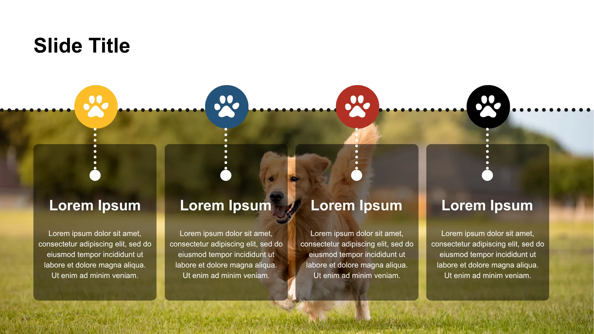 PET CARE & ESSENTIALS slide 12