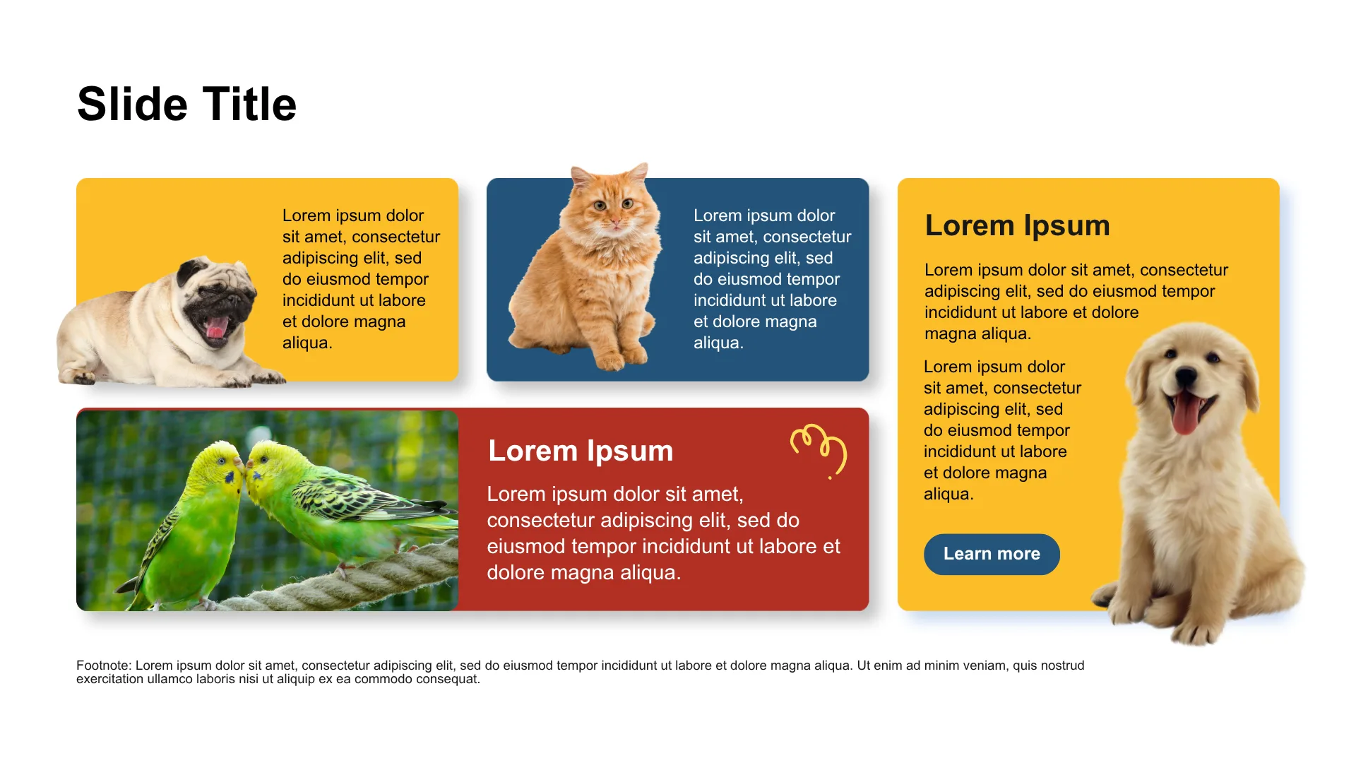 PET CARE & ESSENTIALS slide 3
