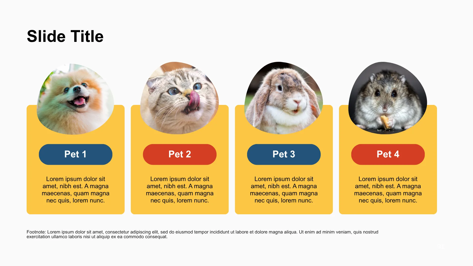 PET CARE & ESSENTIALS slide 6