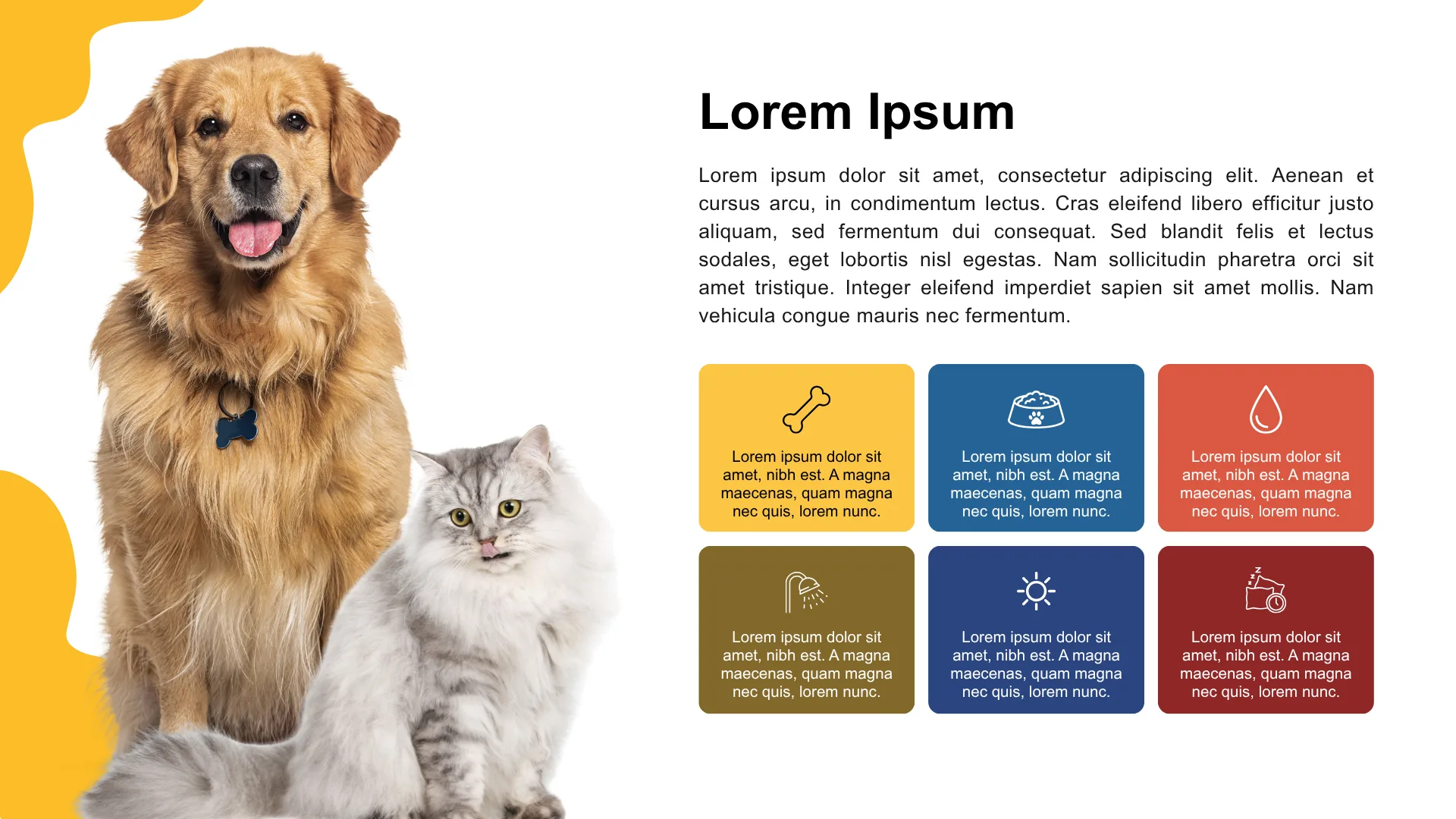 PET CARE & ESSENTIALS slide 7